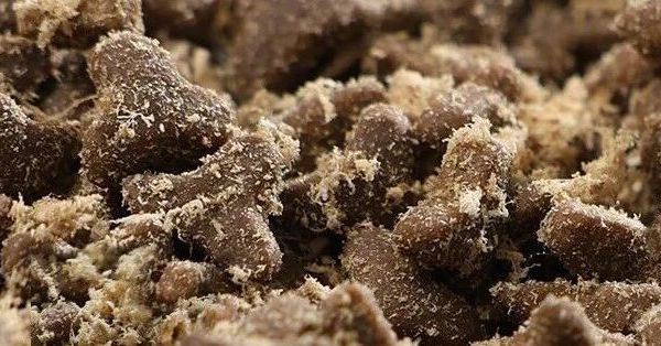 5款麦富迪猫粮拯救挑食猫，哪款让主子疯狂干饭？