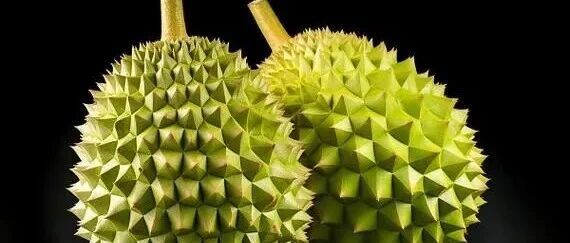 进境新鲜水果“说明书”