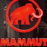 瑞士户外巨头猛犸象传 5 亿欧元待售，安踏会是潜在买家吗？