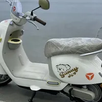 雅迪毛豆首骑实测：铅酸版真实续航数据