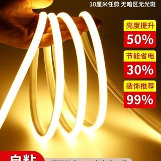 被邻居问爆的氛围感神器！雷迪航COB灯带太绝了✨