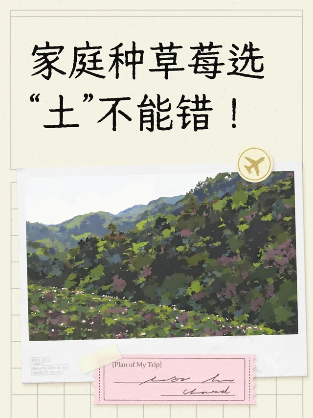 家庭种草莓选“土”不能错！