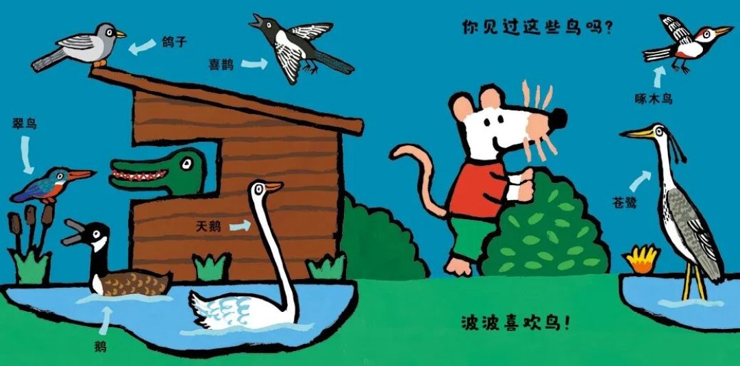 小鼠波波：如何用四本书，在孩子心中种下自然的种子？