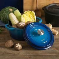 网易严选22cm珐琅锅测评｜单双人煲汤炖肉神器，厨房颜值担当✨