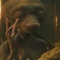 50度散白泡三年的人参突然“复活”长出绿叶，这对吗？