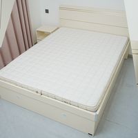 薄垫里面塞弹簧？噱头还是实用？栖作小弹垫实测告诉你！