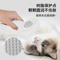 卷毛小狗打结怎么办？手把手教你用针梳梳出蓬松毛量