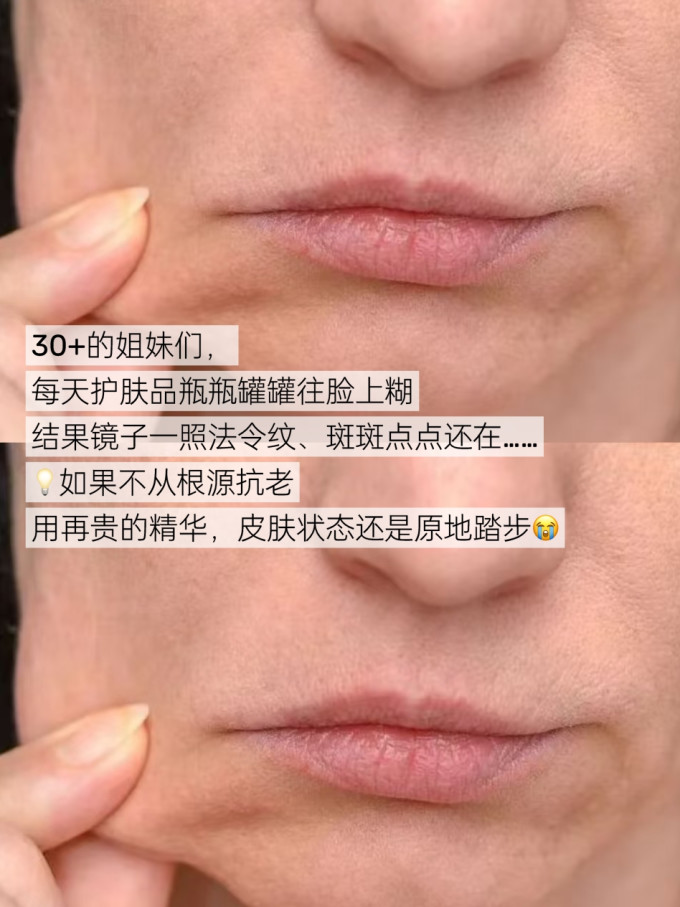 健生湾功能营养
