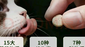 米奇旋风10合1猫咪复合维生素片60g*1 猫用维生素b营养片