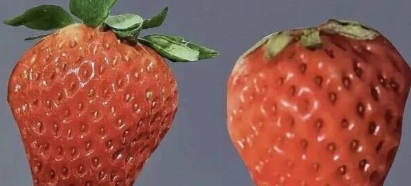 只需要这三招，教会你选报恩草莓