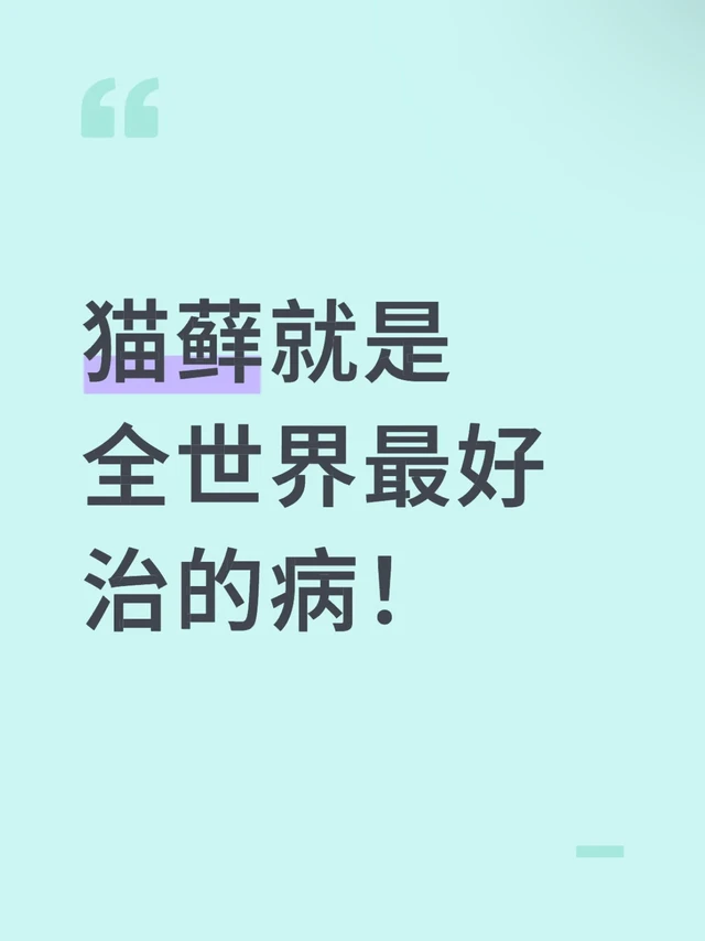 我看谁还治不好猫藓