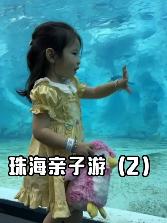 2岁宝宝的珠海亲子游攻略（2）#珠海长隆攻略  #亲子游玩好去处  #珠海海洋王国攻略 #珠海飞船乐园 #亲子游vlog