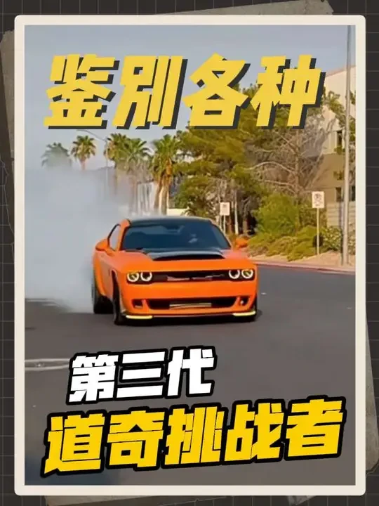 鉴别各种第三代道奇挑战者
#汽车 #肌肉车 #道奇挑战者 #道奇地狱猫 #美系大v8