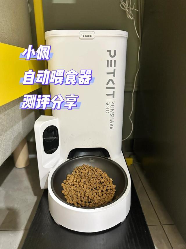 养猫人的自动喂食器测评分享！