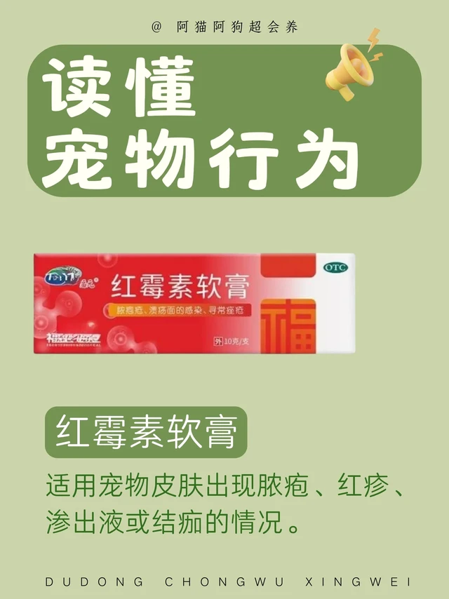 🐾 红霉素软膏宠物指南｜用对是宝，用错