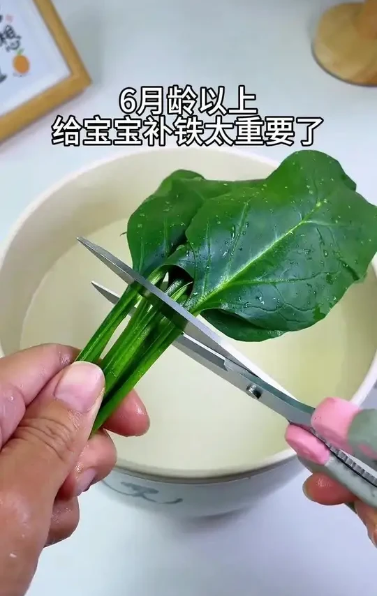 6月龄宝宝添加辅食从5斤养到19斤，每顿辅食都单独做，有一款好用的#辅食机 就够了。搅肉打菜泥都可以#宝宝辅食#育儿经验分享#辅食教程