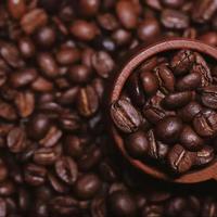 你的咖啡渣倒错了！冰箱除味植物肥，一点别浪费！