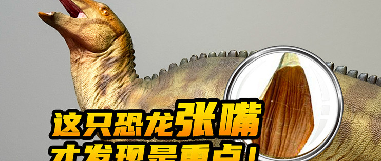 PNSO兰州龙评测：探秘独特的牙齿咀嚼_其他模型_什么值得买