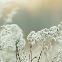 助眠按摩油品牌十大排名