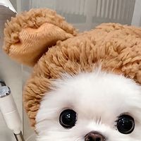 高品质狗粮品牌推荐 2026无谷低敏犬粮选购清单