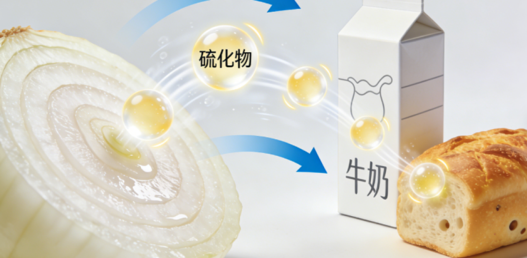 冰箱保鲜有误区?了解背后的化学原理