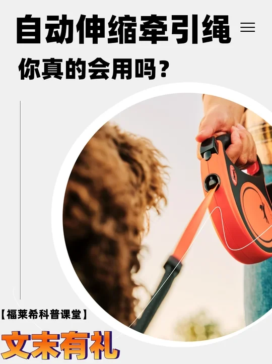 第一课！文末有礼，家长们快带着毛孩子进来
