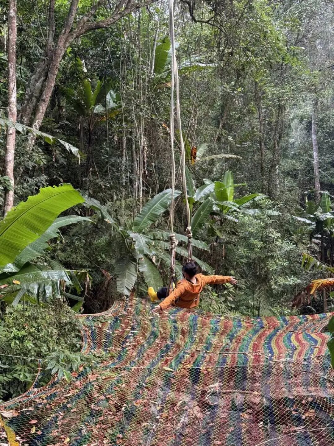 非特种兵式版纳之旅:感受热带慢生活