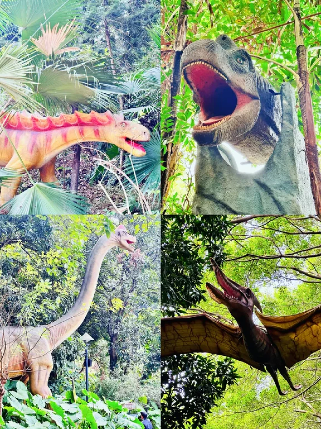 广州番禺亲子游:从侏罗纪世界到秋日湖畔