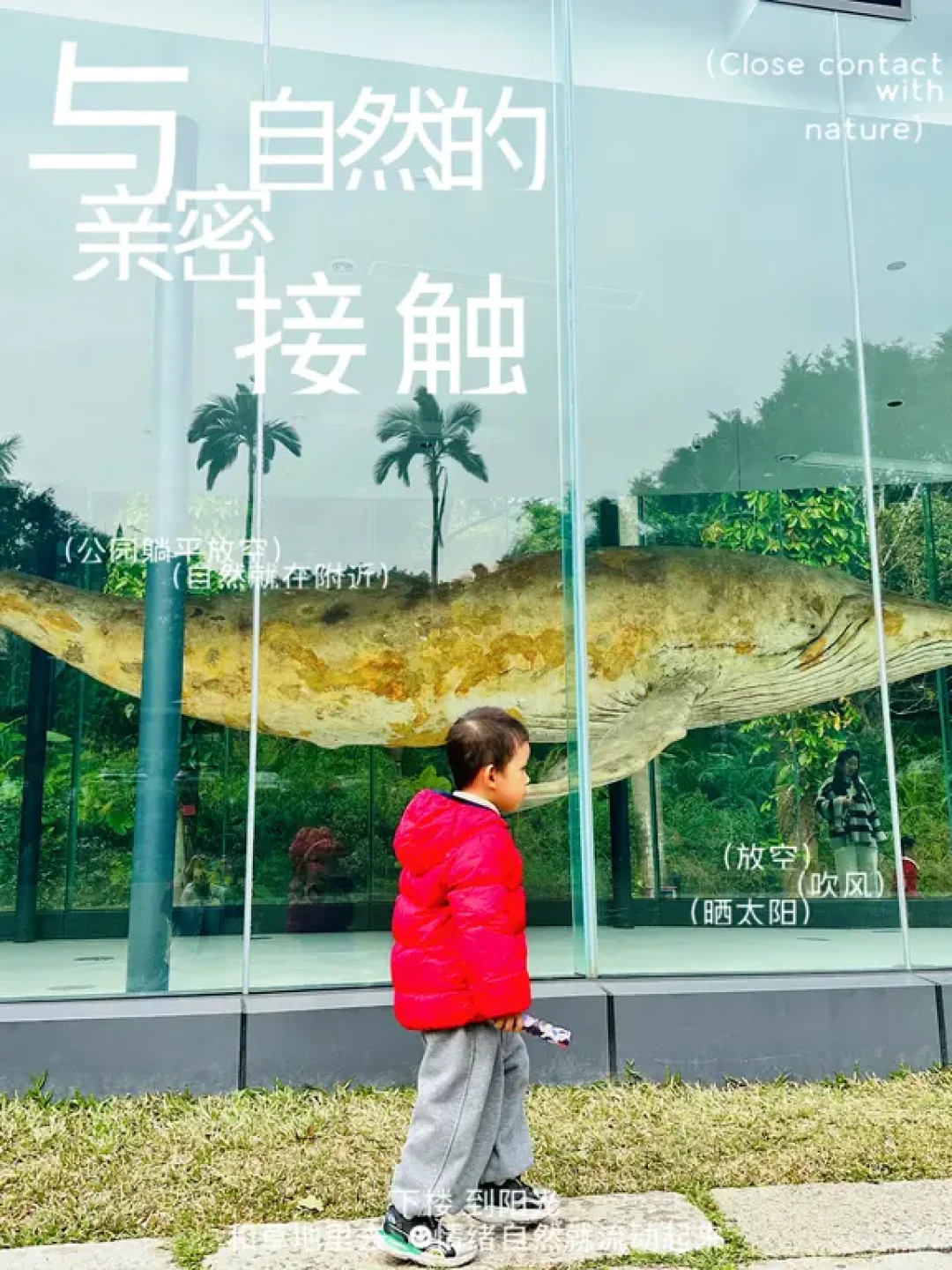 广州番禺亲子游:从侏罗纪世界到秋日湖畔