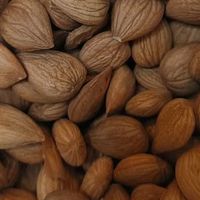 楼兰蜜语甜杏仁：全年安心之选