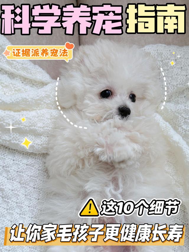 科学养宠指南｜这10个细节让你家毛孩更健康