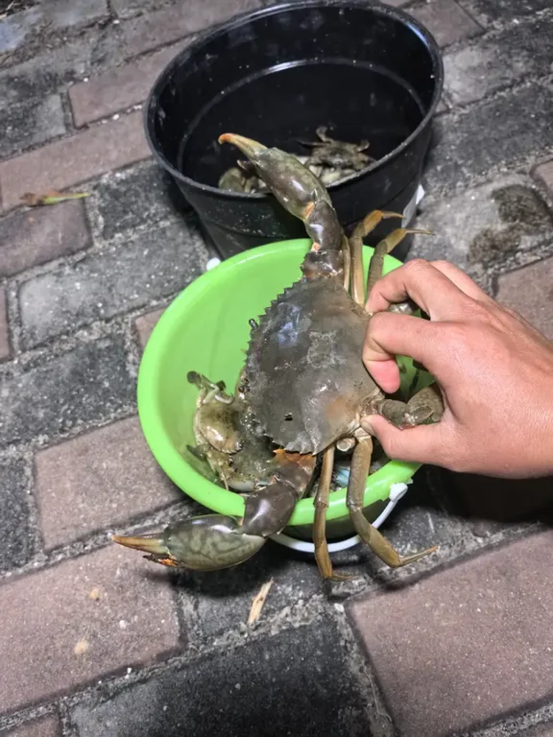 解锁三亚赶海新体验:海棠湾爆桶指南