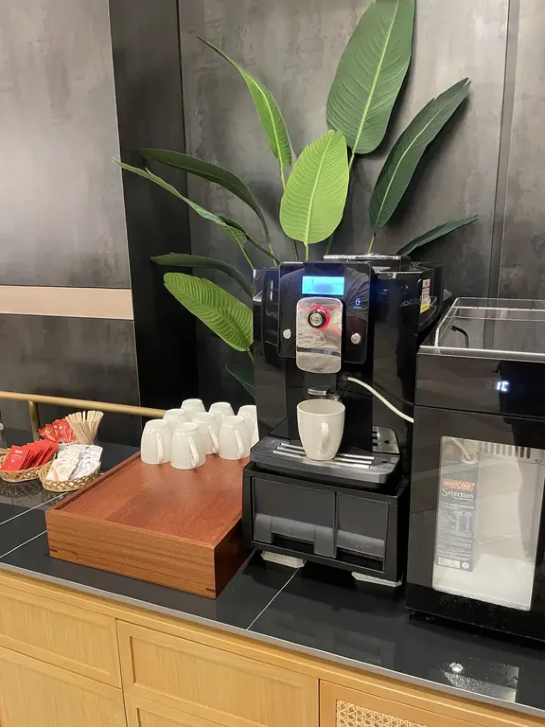 槟城Citadines酒店：优缺点详评