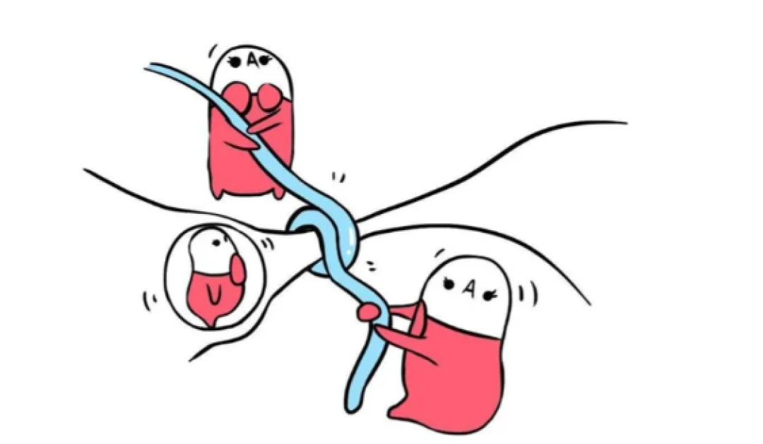 科学避孕方法解析与常见误区