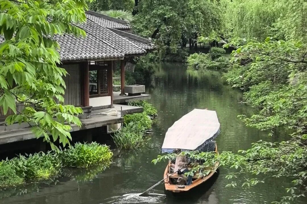 长辈专属：杭州七日秋日慢游指南