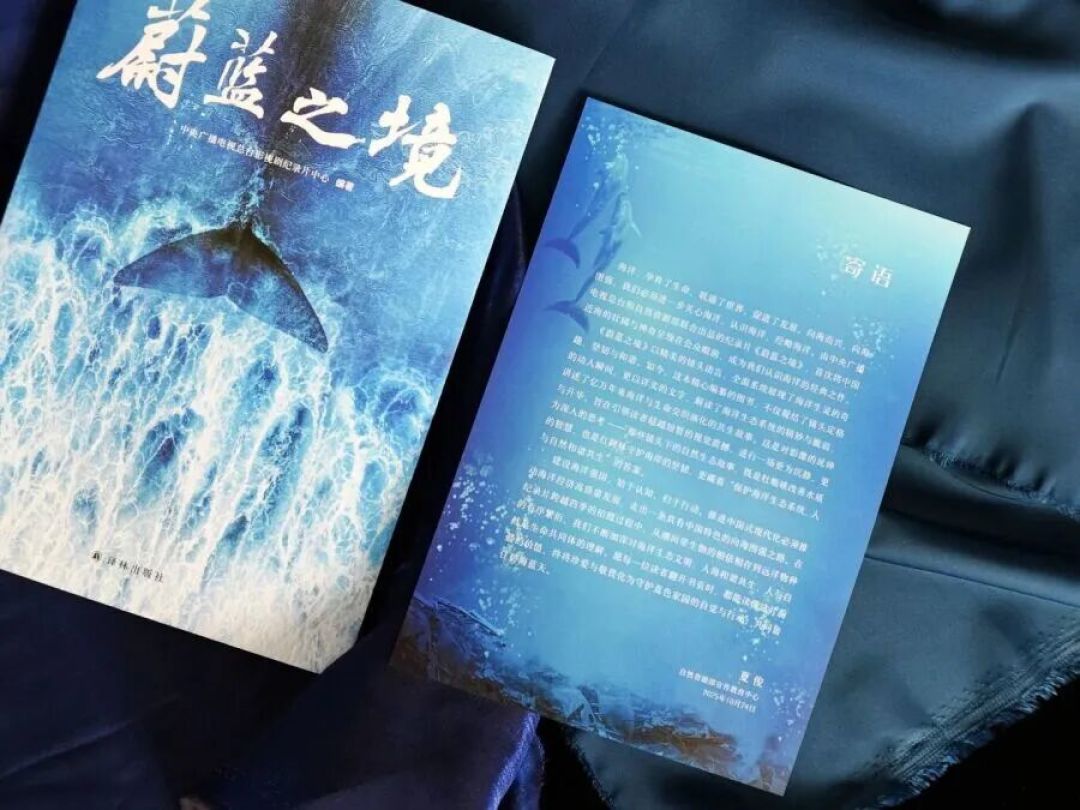 《蔚蓝之境》:一部中国海洋的史诗级影像档案