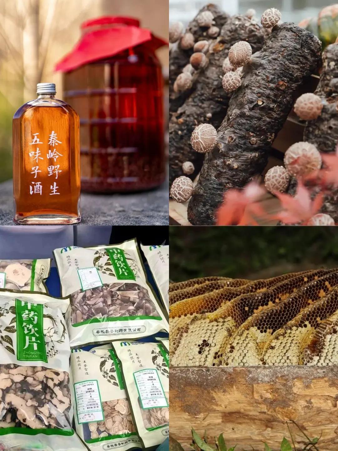 秦岭深处慢生活:留坝两天一夜治愈指南