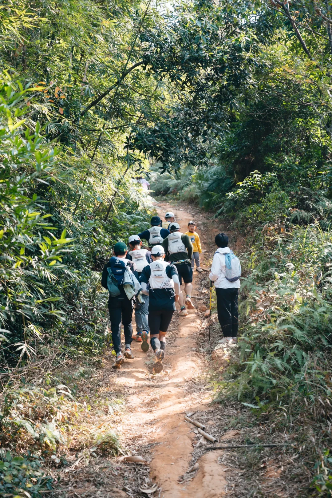 越野跑用杖技巧与实战训练心得