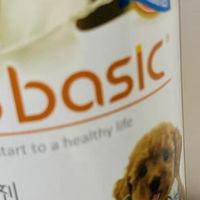 新年养宠必备！麦德氏羊奶粉呵护肠胃