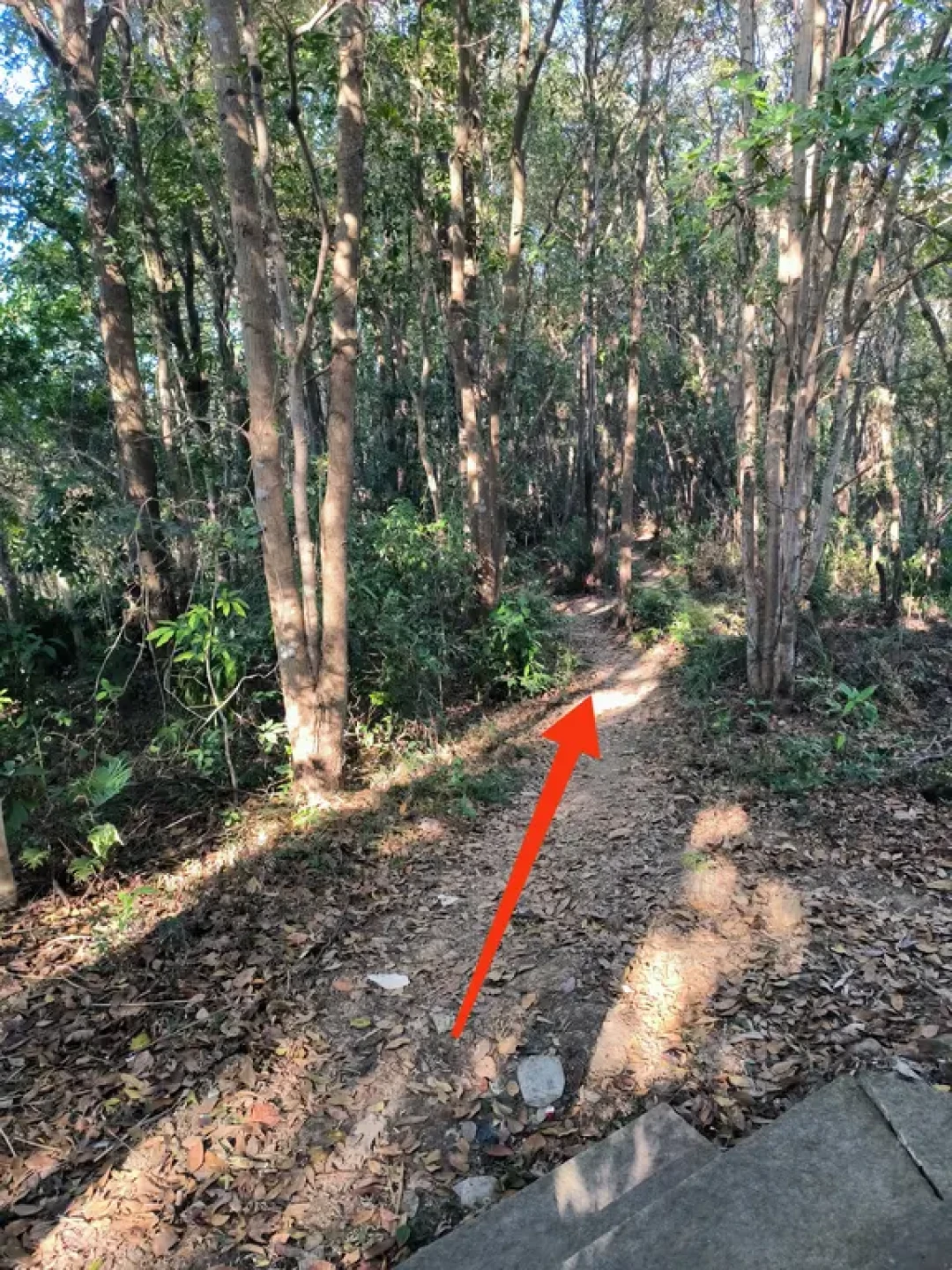 潮州红山徒步:小环线全攻略