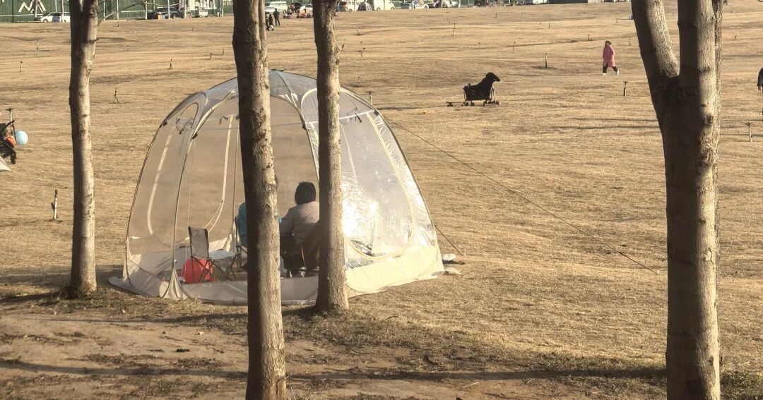 草坪“梦中情棚”:偶遇还是精心营销?