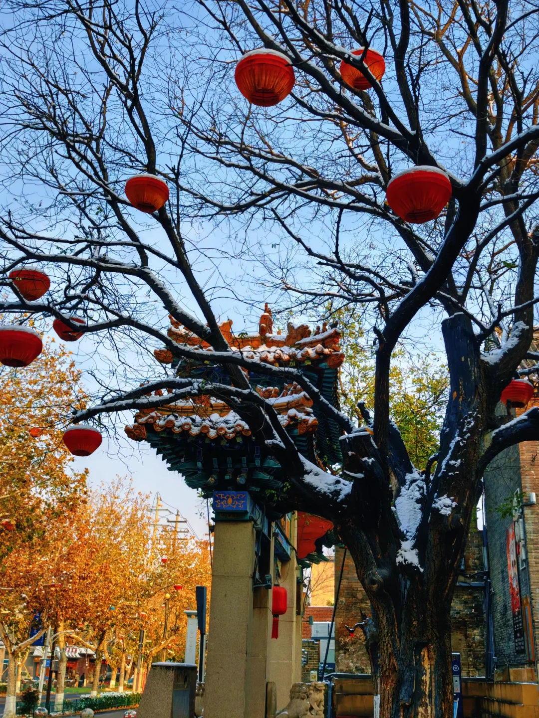 雪中淄博：一场说走就走的治愈之旅