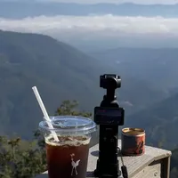 探访云南咖啡庄园，一场风味现实的思考