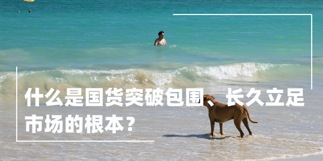 2026宠物消费新风向:从内卷到双向奔赴