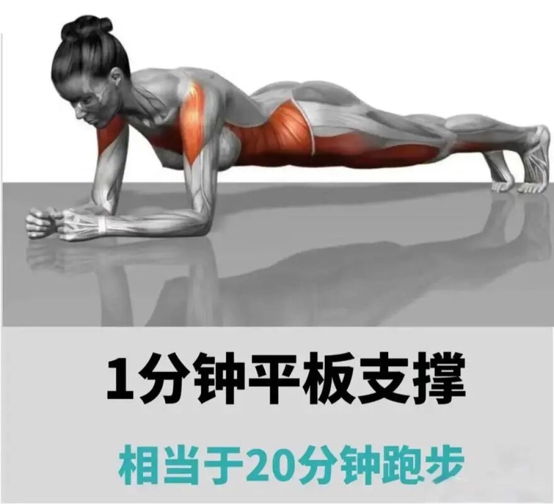 解锁平板支撑：从入门到精通的完整指南