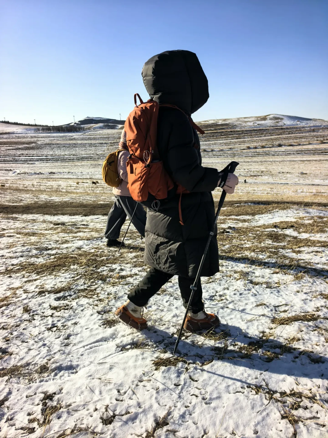 桦皮岭新年徒步指南:存量雪也能玩出林海雪原感