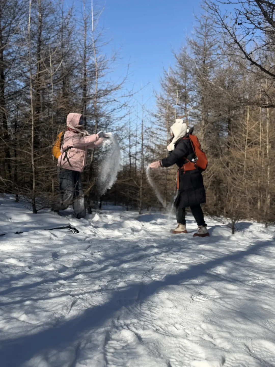 桦皮岭新年徒步指南:存量雪也能玩出林海雪原感