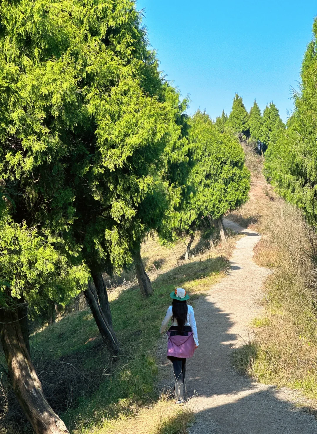 二道坪徒步:成都周边新手友好的山脊线