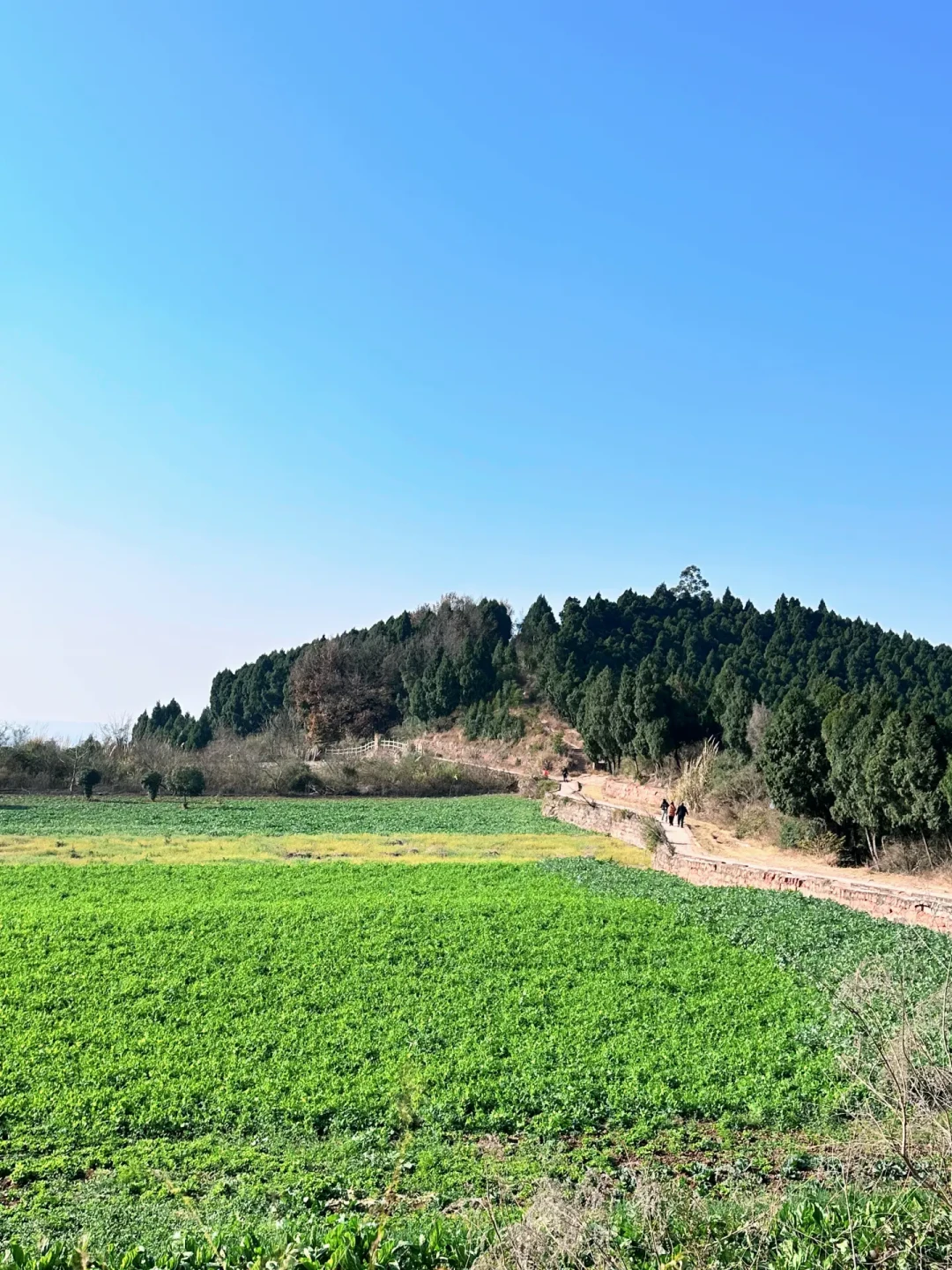 二道坪徒步:成都周边新手友好的山脊线
