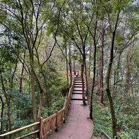 龙泉紫霞山：周末亲子徒步的理想地